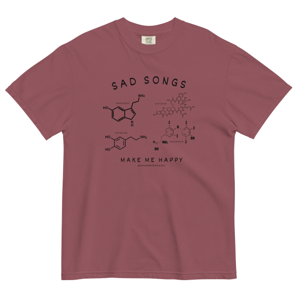 SAD SONGS get comfy (Dawn's fav) Unisex garment-dyed heavyweight t-shirt - Image 5