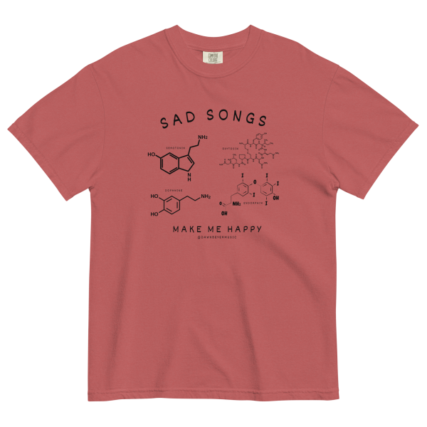 SAD SONGS get comfy (Dawn's fav) Unisex garment-dyed heavyweight t-shirt - Image 11
