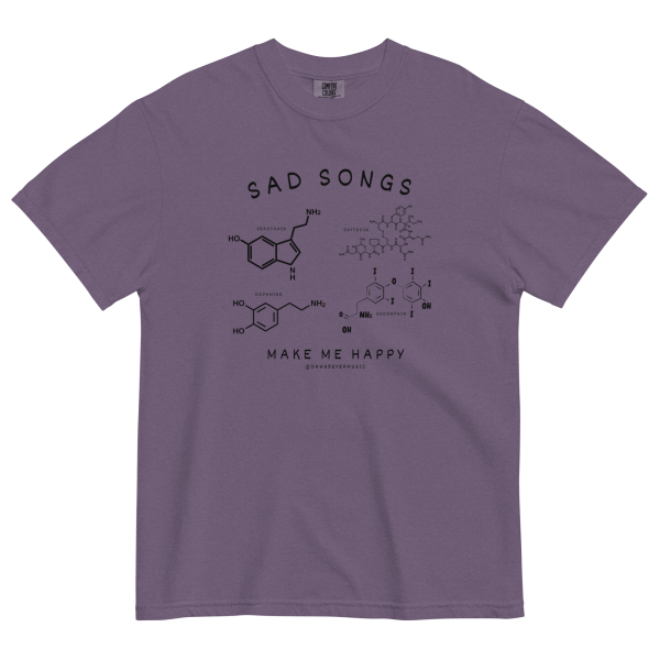 SAD SONGS get comfy (Dawn's fav) Unisex garment-dyed heavyweight t-shirt