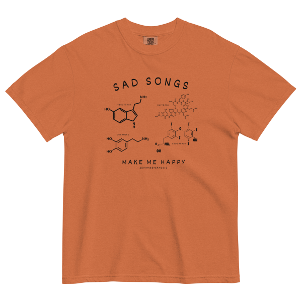 SAD SONGS get comfy (Dawn's fav) Unisex garment-dyed heavyweight t-shirt - Image 17