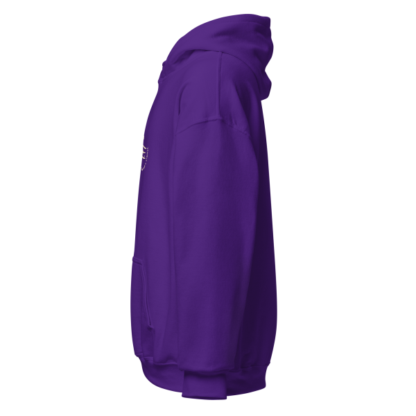 Just a soul and 6 strings Unisex Hoodie - Image 4
